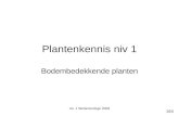 Plantenkennis niv 1