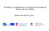 Profesní vzdělávání sociálních kurátorů Brno 30.11.2009