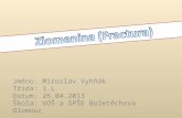 Jméno: Miroslav Vyhňák Třída: 1.L Datum: 26.04.2013 Škola: VOŠ a SPŠE Božetěchova Olomouc