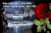 Bản tình ca … tha thiết  Nhạc ngoại quốc - lời Việt