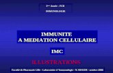 IMMUNITE  A MEDIATION CELLULAIRE