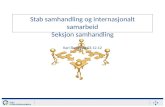 Stab samhandling og internasjonalt samarbeid  Seksjon samhandling  Kari Skredsvig 03.12.12