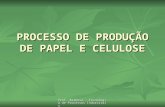 PROCESSO DE PRODUÇÃO DE PAPEL E CELULOSE