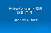 上海大众 SCEP 项目 培训汇报