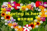 Spring is here