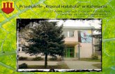 Przedszkole „Krasnal Hałabała” w Kaźmierzu