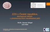 ZZS v České republice, dostupnost lékaře  v přednemocniční neodkladné péči