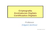 Criptografia Assinaturas Digitais Certificados Digitais