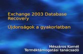 Exchange 2003 Database Recovery  Újdonságok a gyakorlatban