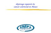 dépistage organisé du  cancer colorectal en Alsace