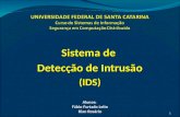 Sistema de  Detecção de Intrusão (IDS)