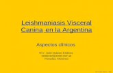 Leishmaniasis  Visceral Canina en la Argentina