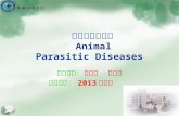 动物 寄生虫病学 Animal  Parasitic Diseases