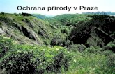 Ochrana přírody v Praze