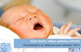 Nytt Vestre Viken-sykehus (NVVS) Presentasjon av  idéfasen  juni-oktober 2013