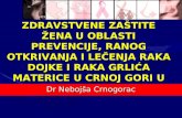 Dr  Nebojša Crnogorac