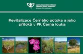 Revitalizace Černého potoka a jeho přítoků v PR Černá louka