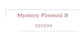 Mystery Plasmid B  ??????