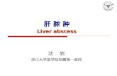 肝 脓 肿 Liver abscess