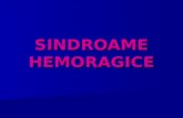 SINDROAME HEMORAGICE