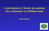 Contribution à l’étude du système des carbonates en Méditerranée