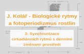 J. Kolář - Biologické rytmy a fotoperiodizmus rostlin