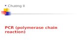 PCR (polymerase chain reaction)