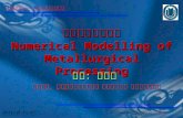 冶金过程数值模拟 Numerical Modelling of Metallurgical Processing
