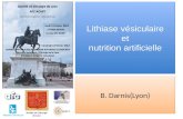 Lithiase vésiculaire et nutrition artificielle