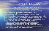 Gérard FELLUS