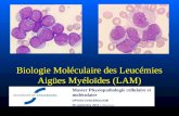 Biologie Moléculaire des Leucémies Aigües Myéloïdes (LAM)