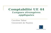 Comptabilité UE 44 Langues étrangères appliquées