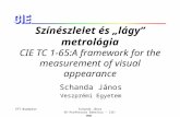 Színészlelet és „lágy” metrológia CIE TC 1-65:A framework for the measurement of visual appearance