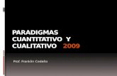 PARADIGMAS   CUANTITATIVO  Y  CUALITATIVO   2009