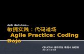 敏捷实践 ： 代码道场  Agile  Practice: Coding Dojo