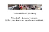Grunnskólinn Ljósaborg  Námskeið – þróunarverkefni:  Fjölbreyttar kennslu- og námsmatsaðferðir