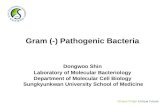 Gram (-) Pathogenic Bacteria