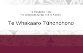 Te Poutama Tau: He Whakaaturanga m ā  te Kaiako Te Whakaaro T ū honohono