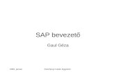 SAP bevezető Gaul Géza