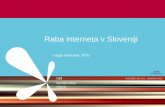 Raba interneta v Sloveniji