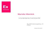 Marieke Wentink