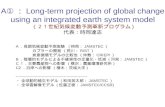 A① ： Long-term projection of global change using an integrated earth system model