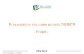 Présentation résumée projets DGE/CR Projet :