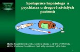 Spolupráce hepatologa  a psychiatra u drogově závislých pacientů