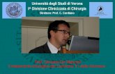 Prof. Giovanni De Manzoni Il trattamento chirurgico dei Carcinomi T1 dello Stomaco
