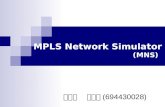 MPLS Network Simulator