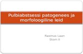 Pulbiabstsessi patogenees ja morfoloogiline leid