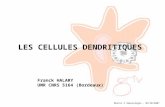 LES CELLULES DENDRITIQUES        Franck HALARY        UMR CNRS 5164 (Bordeaux)