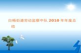 白杨街道劳动监察中队 2010 年年度总结