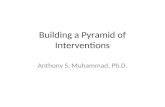 Building a Pyramid of Interventions